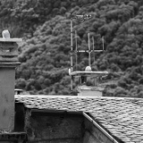old-new 0030web