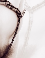 sash
