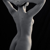 torso 9563web