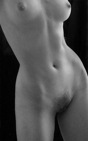 torso_9581web.jpg