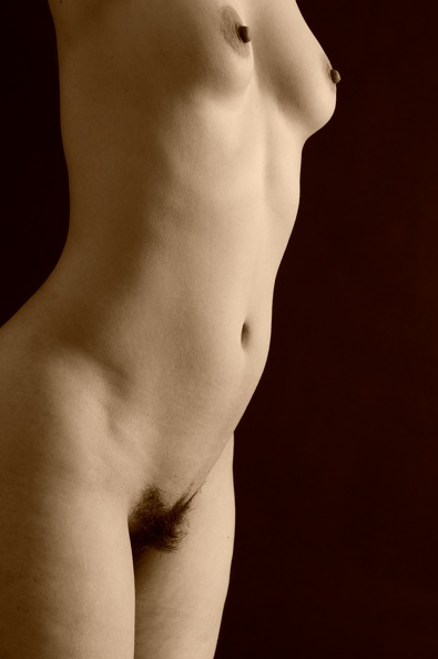 torso_9871.jpg