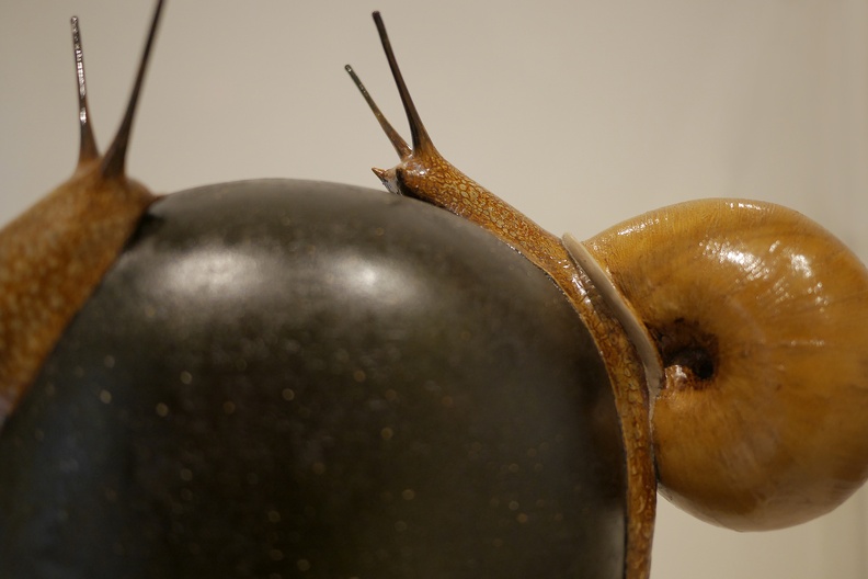 snail sculpture 1030867