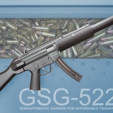 GSG5SD 8220
