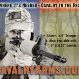 cavarmsquarterad3small
