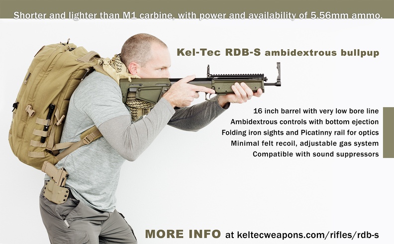 RDB-S M1carbine comparison D6A2387web