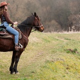 falco horseback DSC7084web