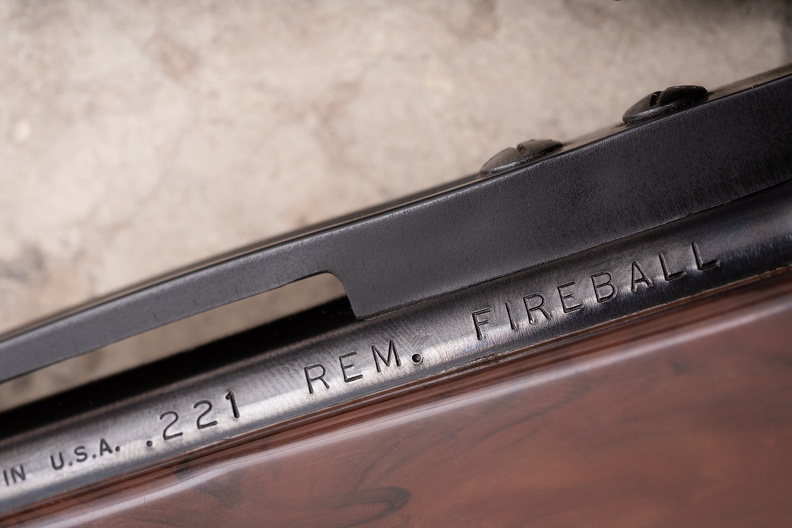 XP100 221fireball DSC3340web