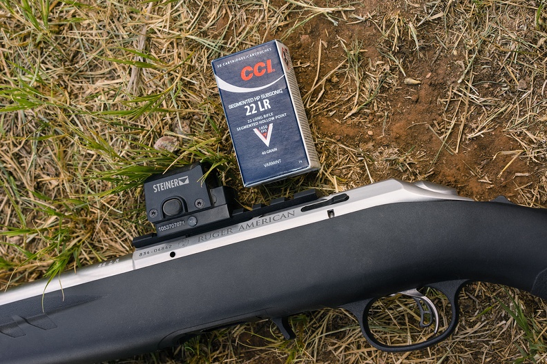 ruger-american22 steiner CCIsubsonic DSC8235web