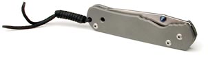 Chris Reeve Sebenza