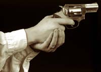 357 Magnum dissuasion device